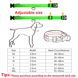 RoyalPet Led Safely Collar