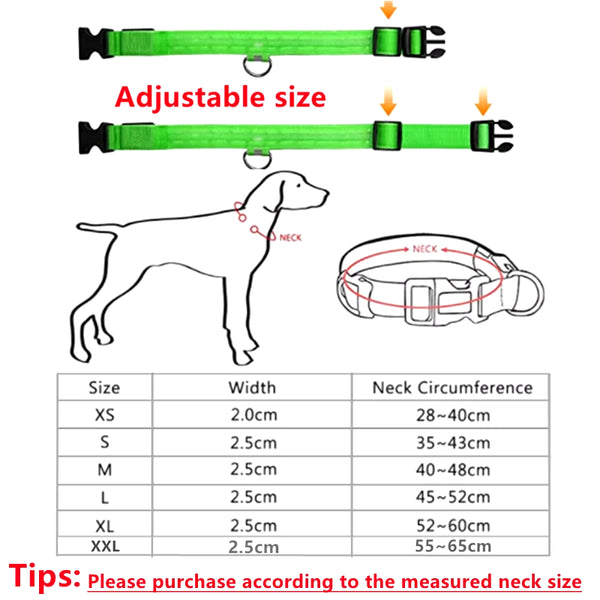 RoyalPet Led Safely Collar