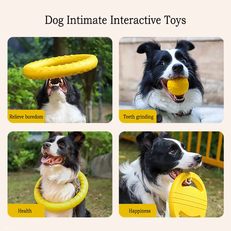 EVA-tastic Fun: The Ultimate Durable Dog Toy Pack for Playtime Adventures!