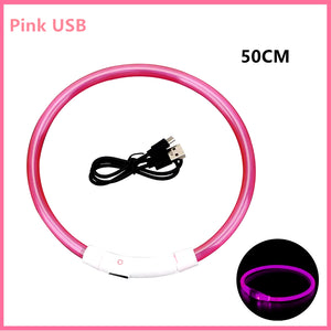 RoyalPet Led Safely Collar
