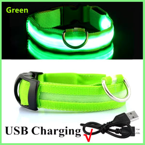 RoyalPet Led Safely Collar