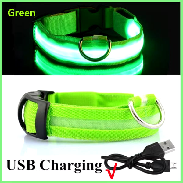 RoyalPet Led Safely Collar