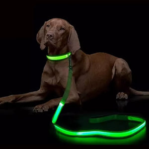 RoyalLED Dog Leash