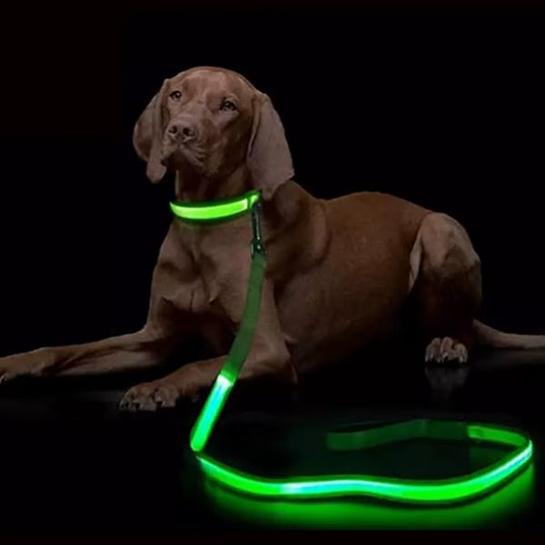 RoyalLED Dog Leash