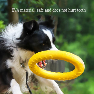 EVA-tastic Fun: The Ultimate Durable Dog Toy Pack for Playtime Adventures!