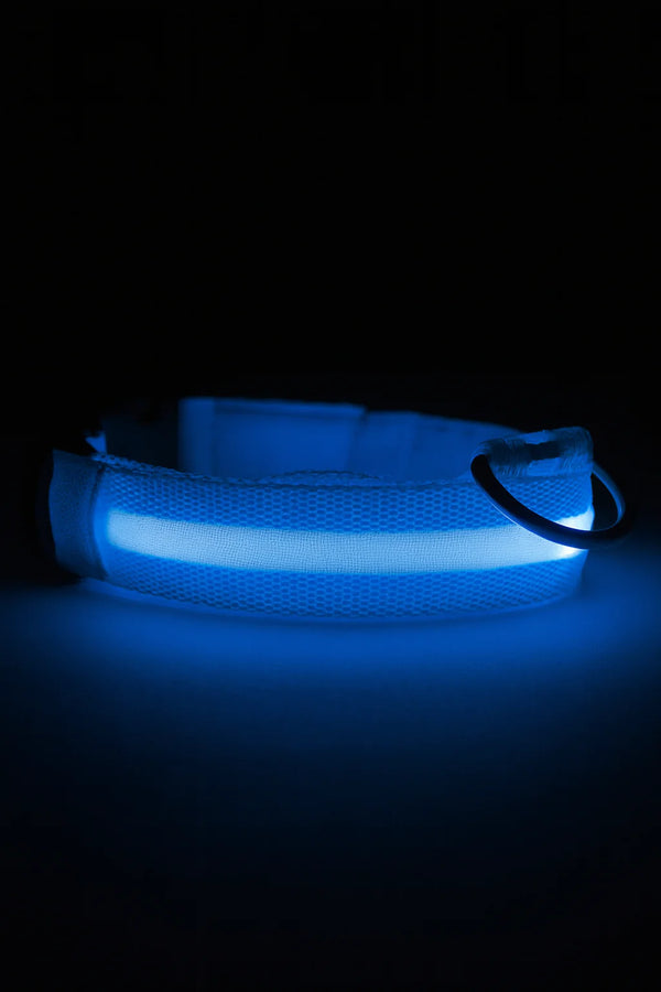 RoyalPet™ Night Safety Bundle – LED Dog Collar & Leash