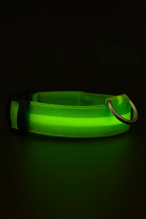 RoyalPet™ Night Safety Bundle – LED Dog Collar & Leash