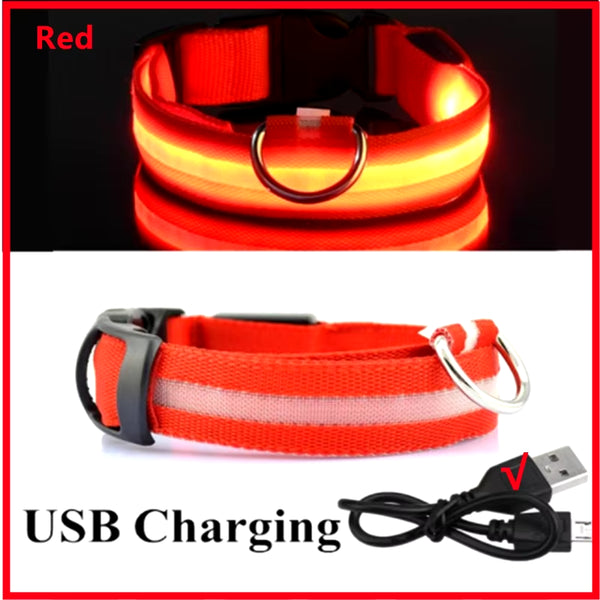 RoyalPet Led Safely Collar