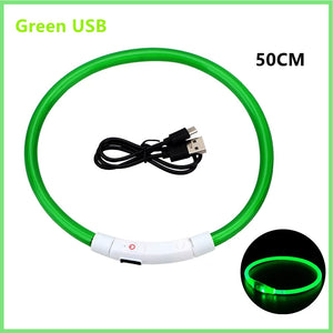 RoyalPet Led Safely Collar