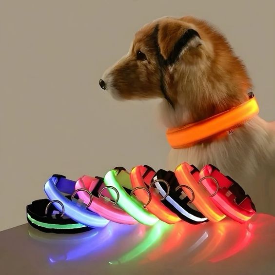RoyalPet Led Safely Collar 