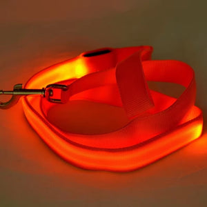 RoyalLED Dog Leash