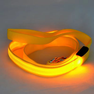 RoyalLED Dog Leash