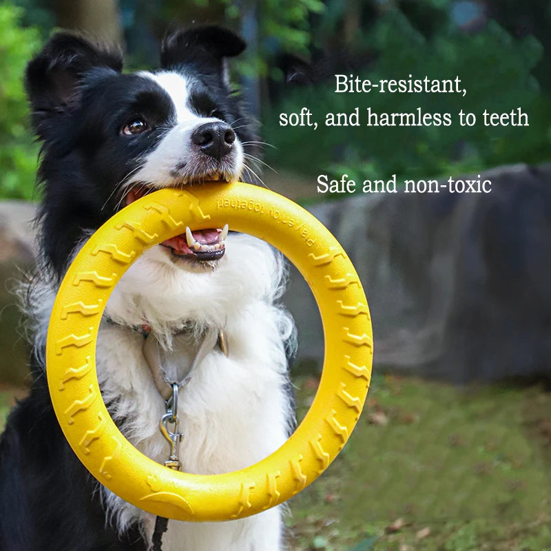 EVA-tastic Fun: The Ultimate Durable Dog Toy Pack for Playtime Adventures!