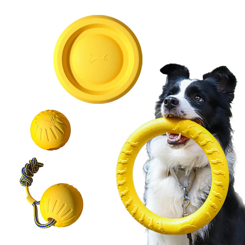 EVA-tastic Fun: The Ultimate Durable Dog Toy Pack for Playtime Adventures!