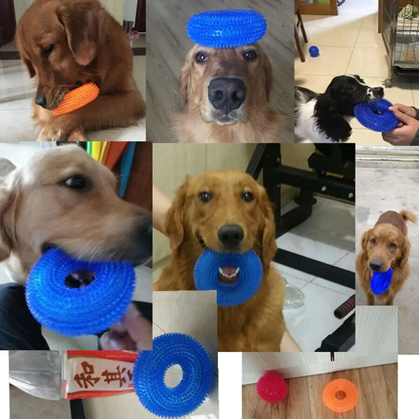 Squeaky Fun for Fido: The Ultimate Interactive Chew Toy!