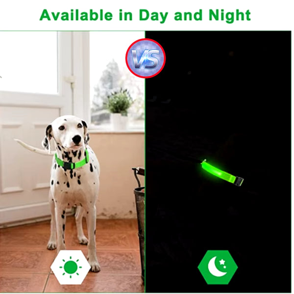 RoyalPet Led Safely Collar