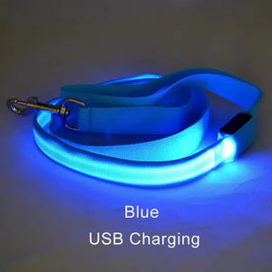 RoyalLED Dog Leash