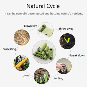 Effortless Cat Care with Our Hello Kitty Cat Litter Shovel Scoop