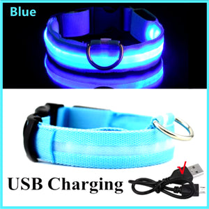 RoyalPet Led Safely Collar
