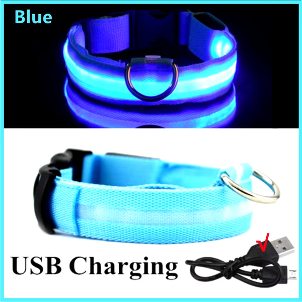 RoyalPet Led Safely Collar