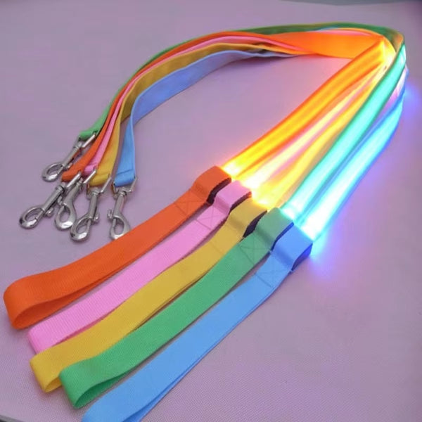 RoyalLED Dog Leash