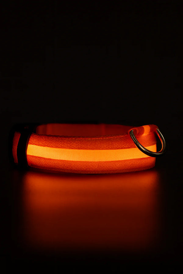 RoyalPet™ Night Safety Bundle – LED Dog Collar & Leash