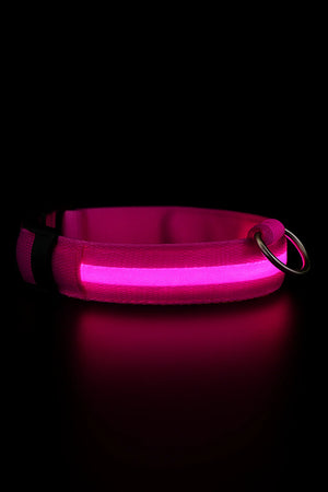 RoyalPet™ Night Safety Bundle – LED Dog Collar & Leash