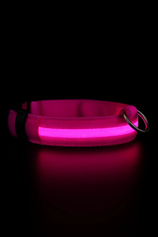 RoyalPet™ Night Safety Bundle – LED Dog Collar & Leash