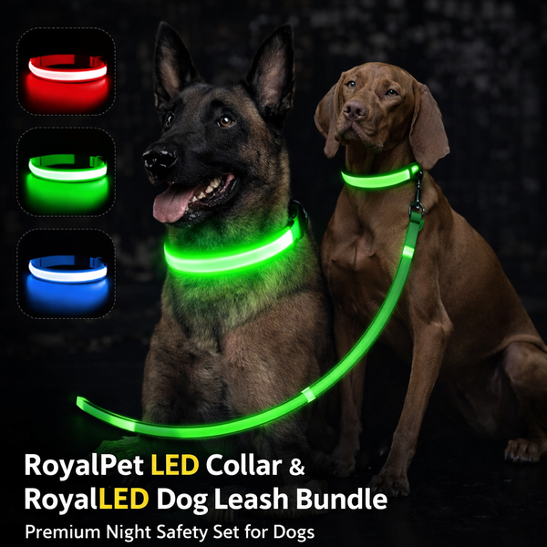 RoyalPet™ Night Safety Bundle – LED Dog Collar & Leash