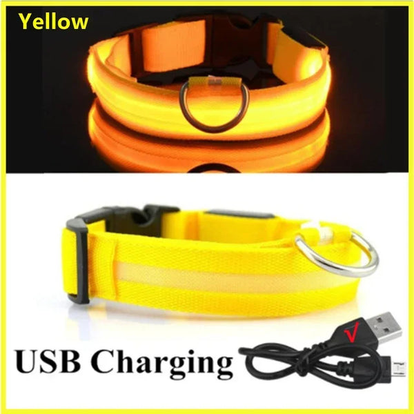 RoyalPet Led Safely Collar 