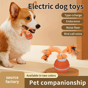 Exciting Interactive Motion-Activated Dog Toy Ball with Rope - Ideal for Indoor Fun and Puppy Training!