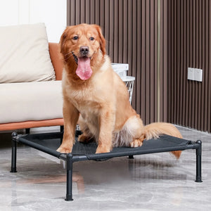 Elevated Dog Bed for Ultimate Comfort and Breathability