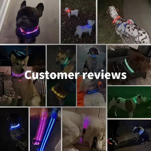 RoyalPet Led Safely Collar 