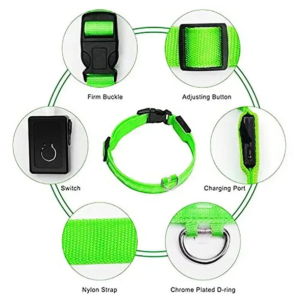 RoyalPet Led Safely Collar 