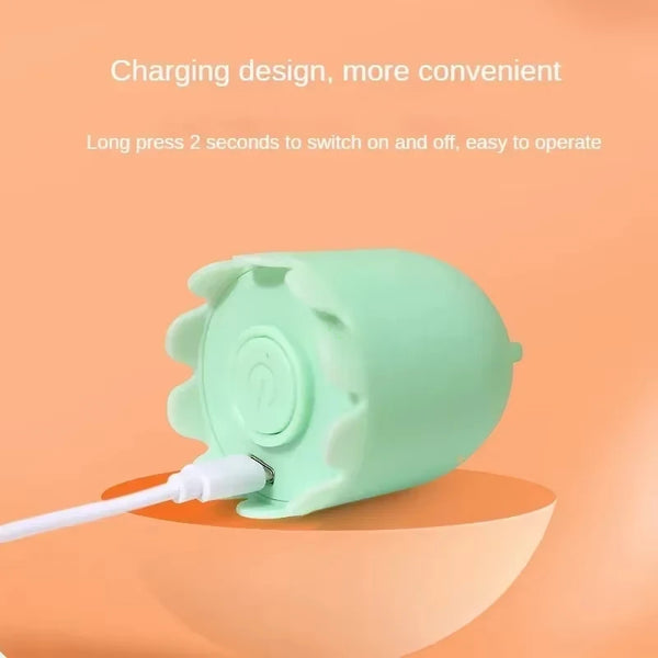 Swinging Tail Cat Toy