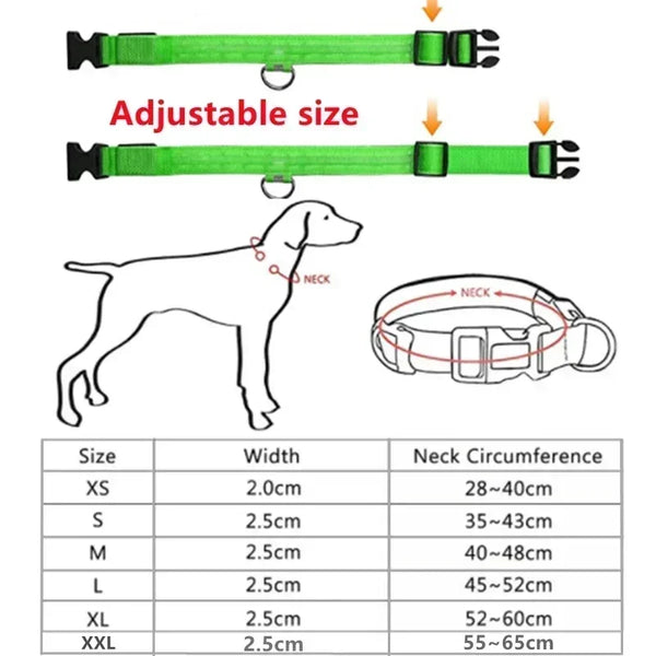 RoyalPet Led Safely Collar 