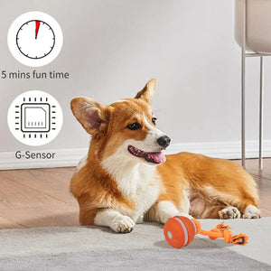 Exciting Interactive Motion-Activated Dog Toy Ball with Rope - Ideal for Indoor Fun and Puppy Training!