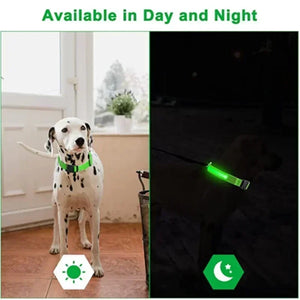 RoyalPet Led Safely Collar 