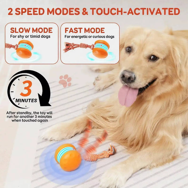 Interactive Dog Toys Smart Rolling Ball with Rope Motion Activated Automatic Moving Squeaky Dog Training Puppy Chew Toy Balls