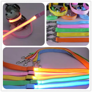 RoyalLED Dog Leash