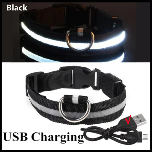 RoyalPet Led Safely Collar