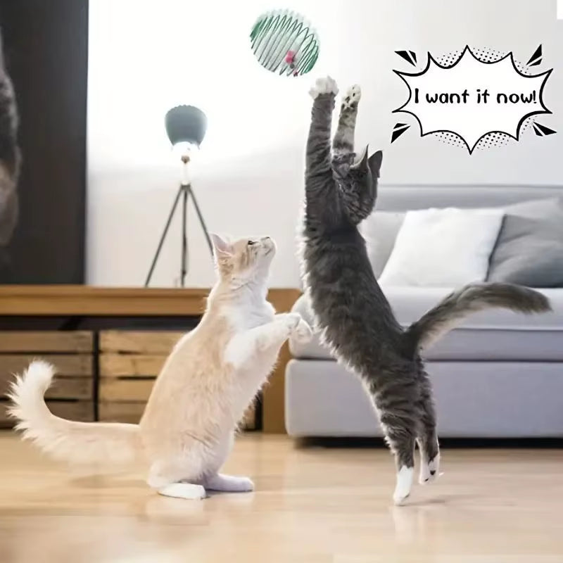 Deluxe Cat Toy Ball Set for Endless Fun and Engagement