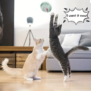 Deluxe Cat Toy Ball Set for Endless Fun and Engagement