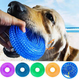 Squeaky Fun for Fido: The Ultimate Interactive Chew Toy!