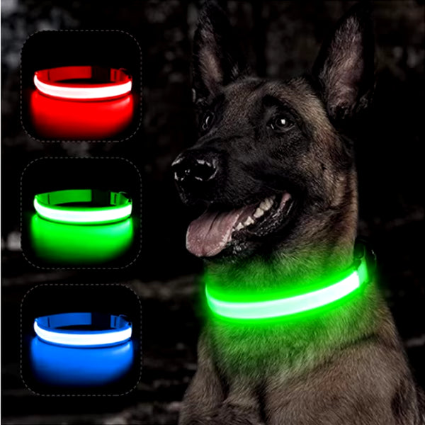 RoyalPet Led Safely Collar