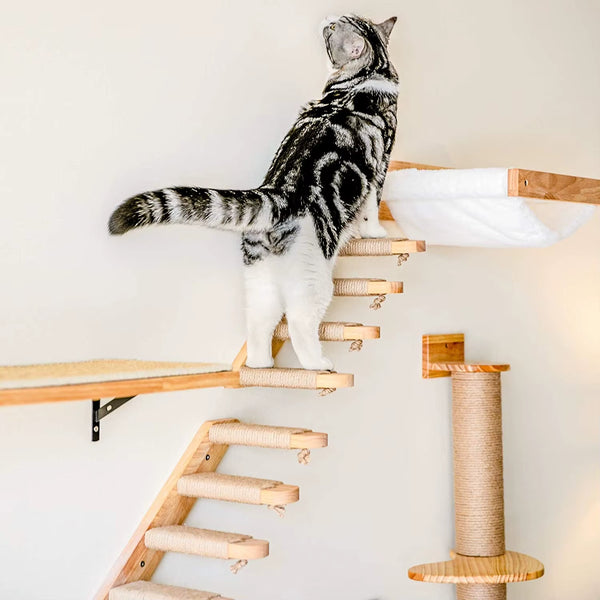 Purrfectly Elevated: The Wall-Mounted Cat Hammock Bed for Your Feline Acrobats