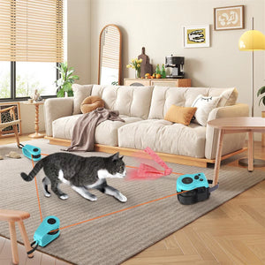 Interactive Cat Toy Wheel: Engage Your Feline Friend in Healthy Playtime
