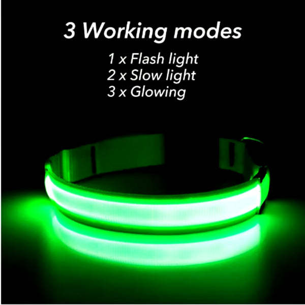 RoyalPet Led Safely Collar