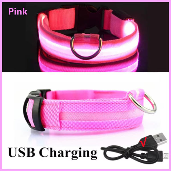 RoyalPet Led Safely Collar