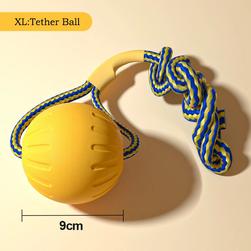 EVA-tastic Fun: The Ultimate Durable Dog Toy Pack for Playtime Adventures!